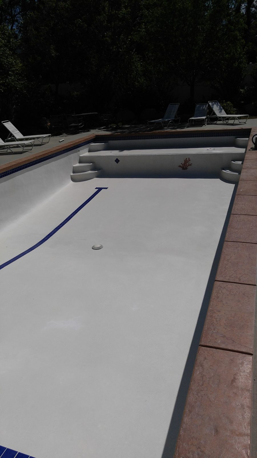 Top-Tier Pools & Spas project photo