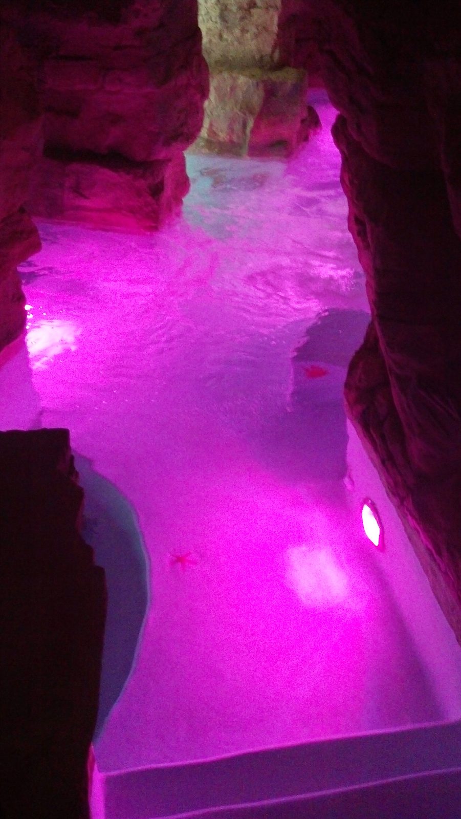Top-Tier Pools & Spas project photo