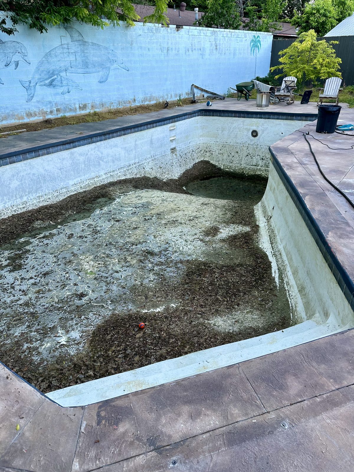 Top-Tier Pools & Spas project photo