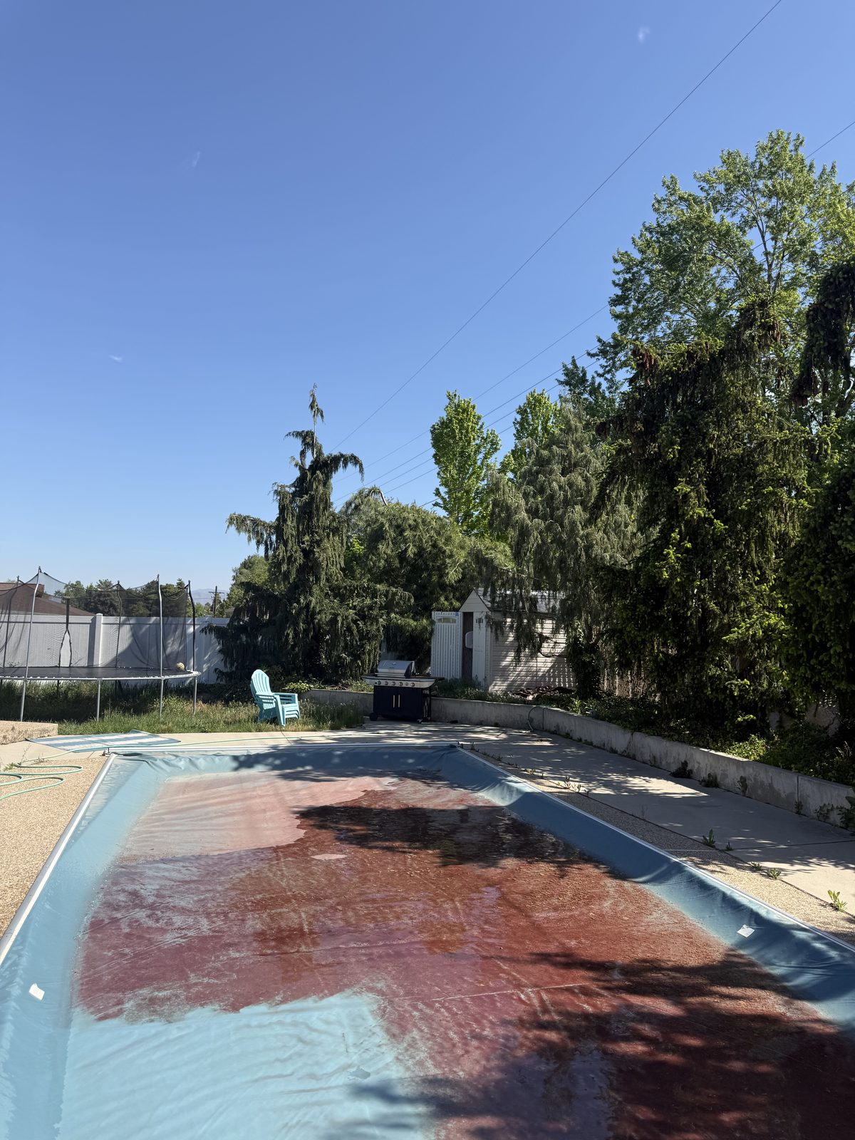 Top-Tier Pools & Spas project photo